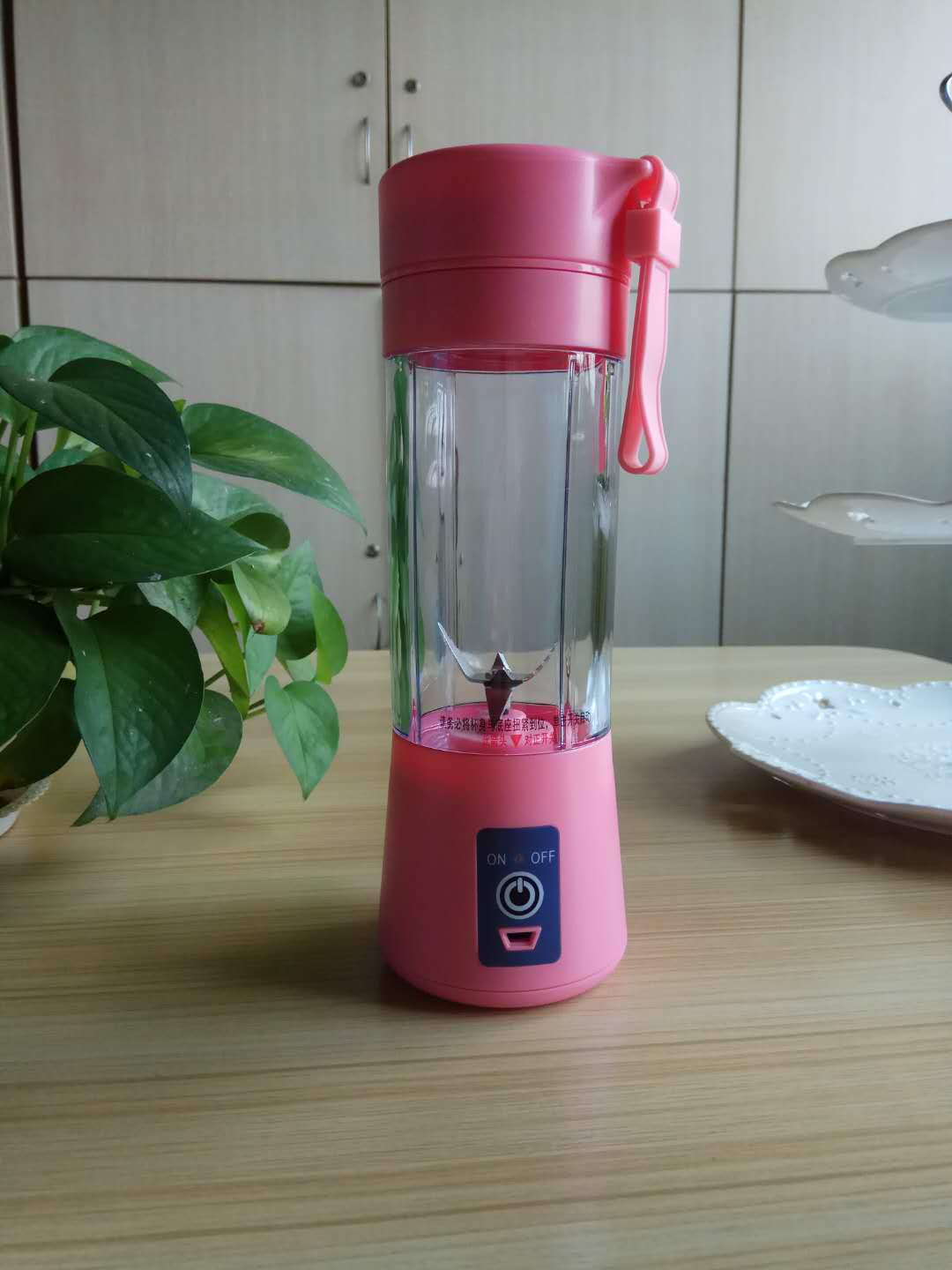 Portable Electric Juicer