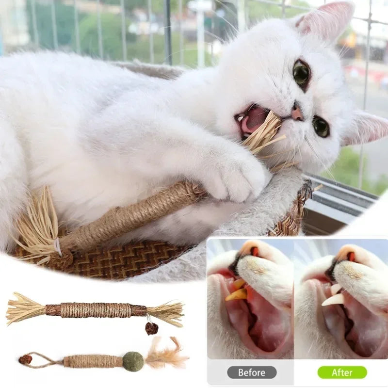 Cat Toys Silvervine Chew Stick Pet Snacks Sticks Natural Stuff with Catnip for Kitten Cats Cleaning Teeth Cat Accessories Katze