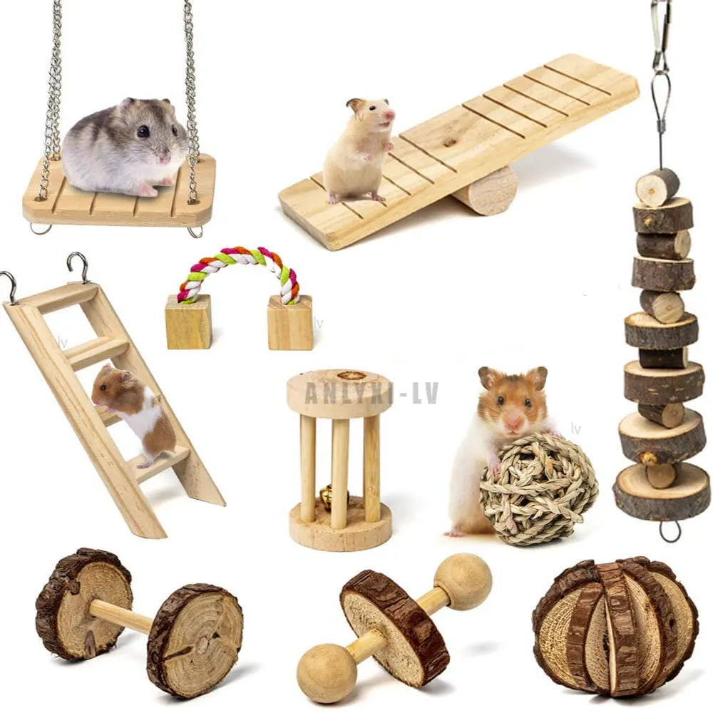 Hamster Chew Toy Set Small Animal Molar Care Wooden Accessories For Guinea Pigs Wooden Toys Pet Molars Supplies