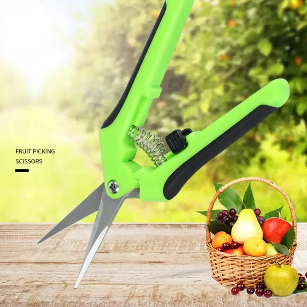 Garden Pruning Shears Stainless Steel Pruner Fruit Picking Secateurs Potted Weed Pruning Scissors Straight Elbow Pruning Tools